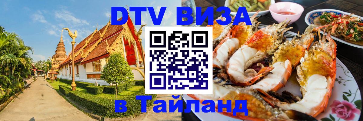 Оформление DTV визы под ключ: стоимость и тарифы, только загранпаспорт - 